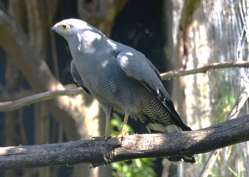 World of Birds Wildlife Sanctuary.